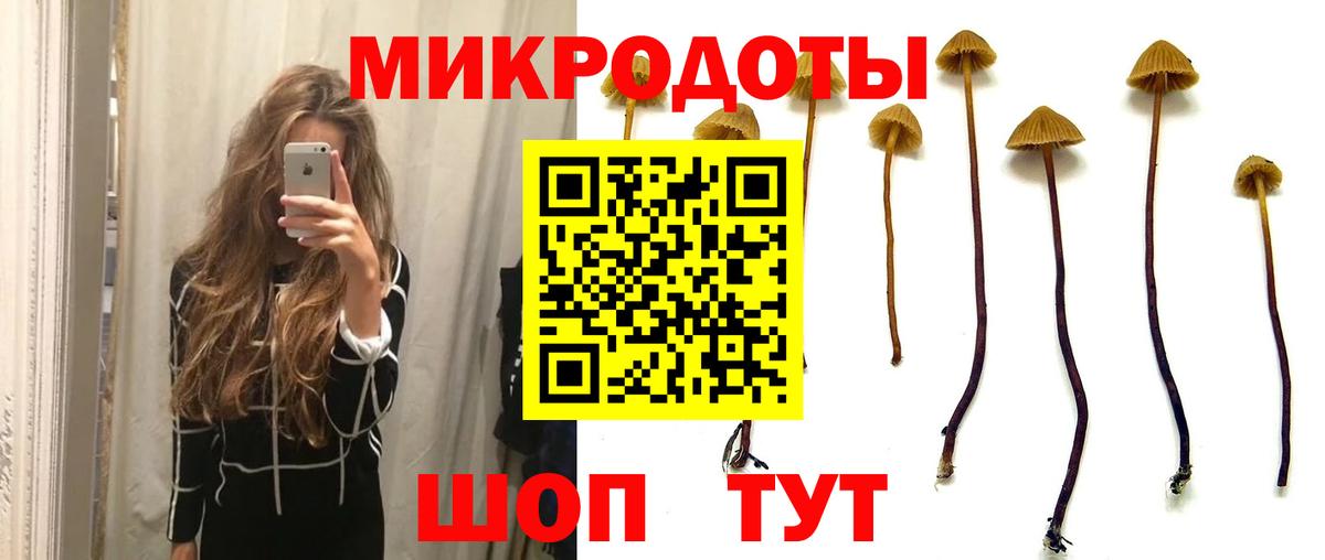 Галлюциногенные грибы GOLDEN TEACHER Строитель